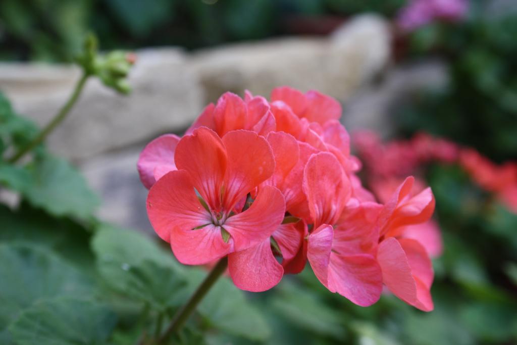 Kerkent Bed & Breakfast Agrigento Exterior photo